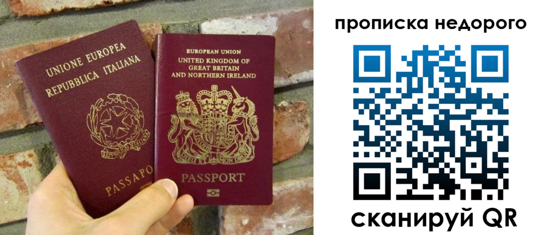 прописка поиск в Ржеве